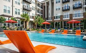 Modern Apartment Rentals